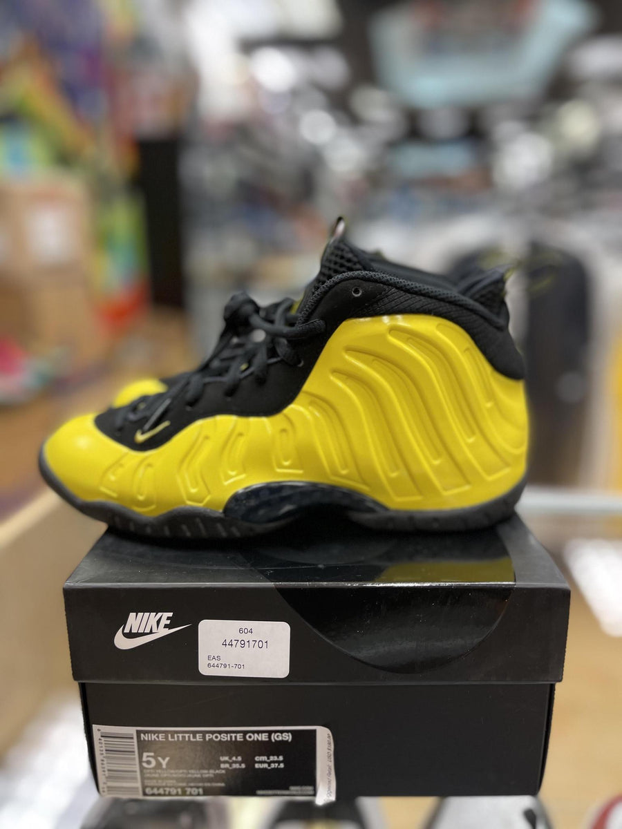 vnds Nike Air Foamposite One Wu-Tang (GS)