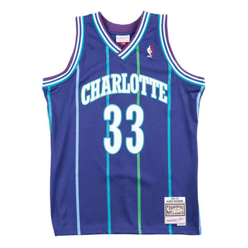 Jersey Charlotte Hornets Alternate 1994-95 Alonzo Mourning