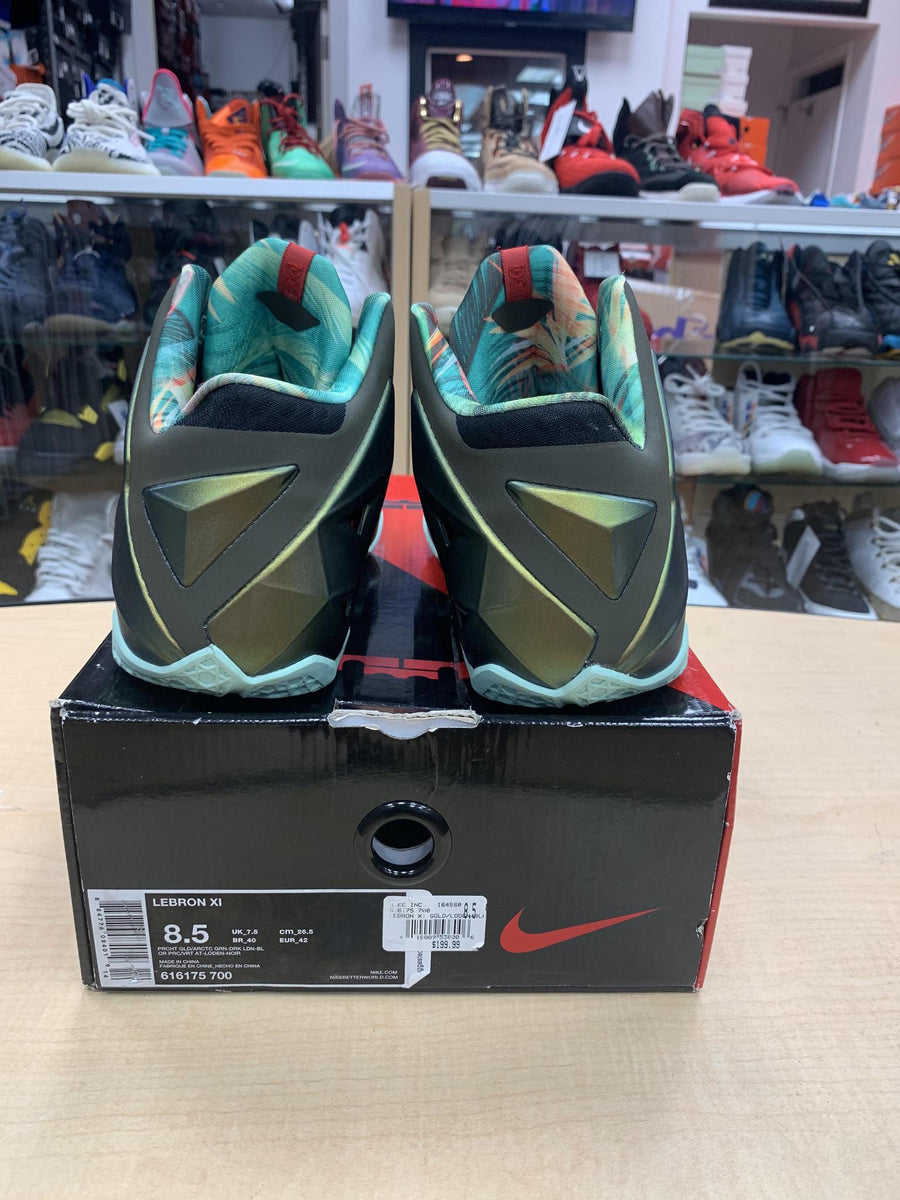 Vnds Nike LeBron 11 King's Pride