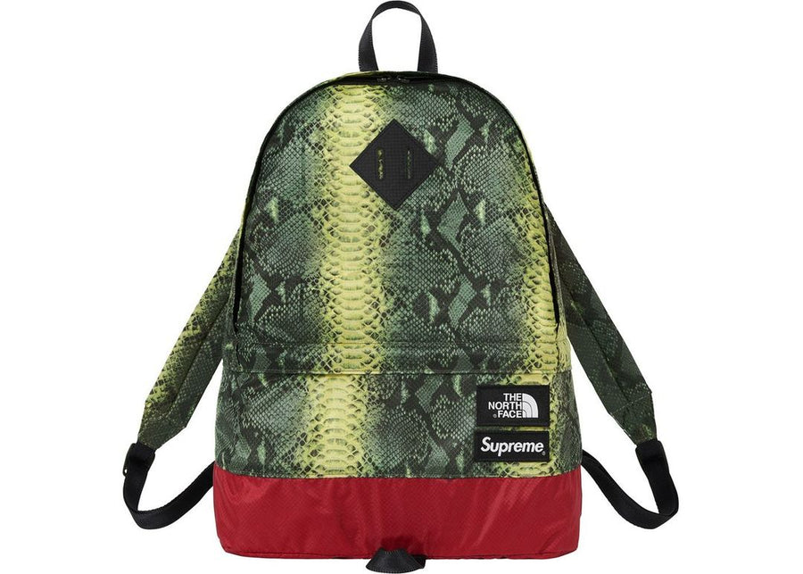 Supreme The North Face Snakeskin Lightweight Day BackPack Green