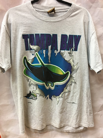 Vintage Tampa Bay Devil Rays L