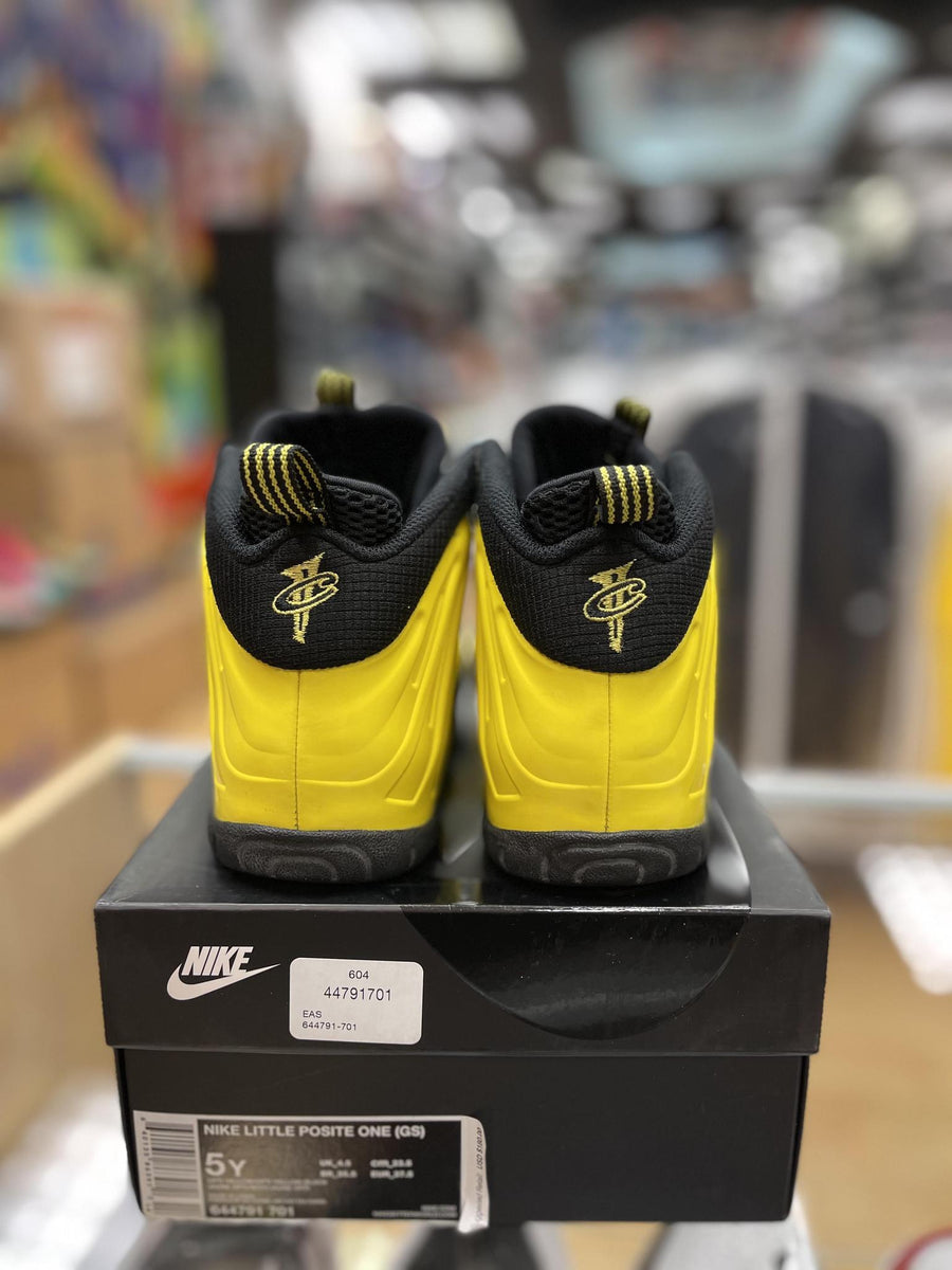 vnds Nike Air Foamposite One Wu-Tang (GS)
