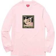 Supreme Best In the World L/S Tee Dusty Pink